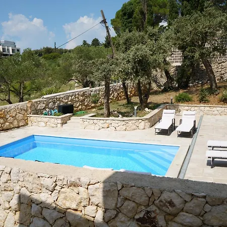 Novak فيلة راب