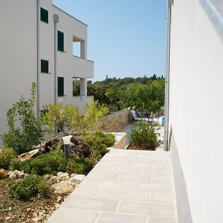 فيلة Novak راب